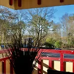 Moewennest